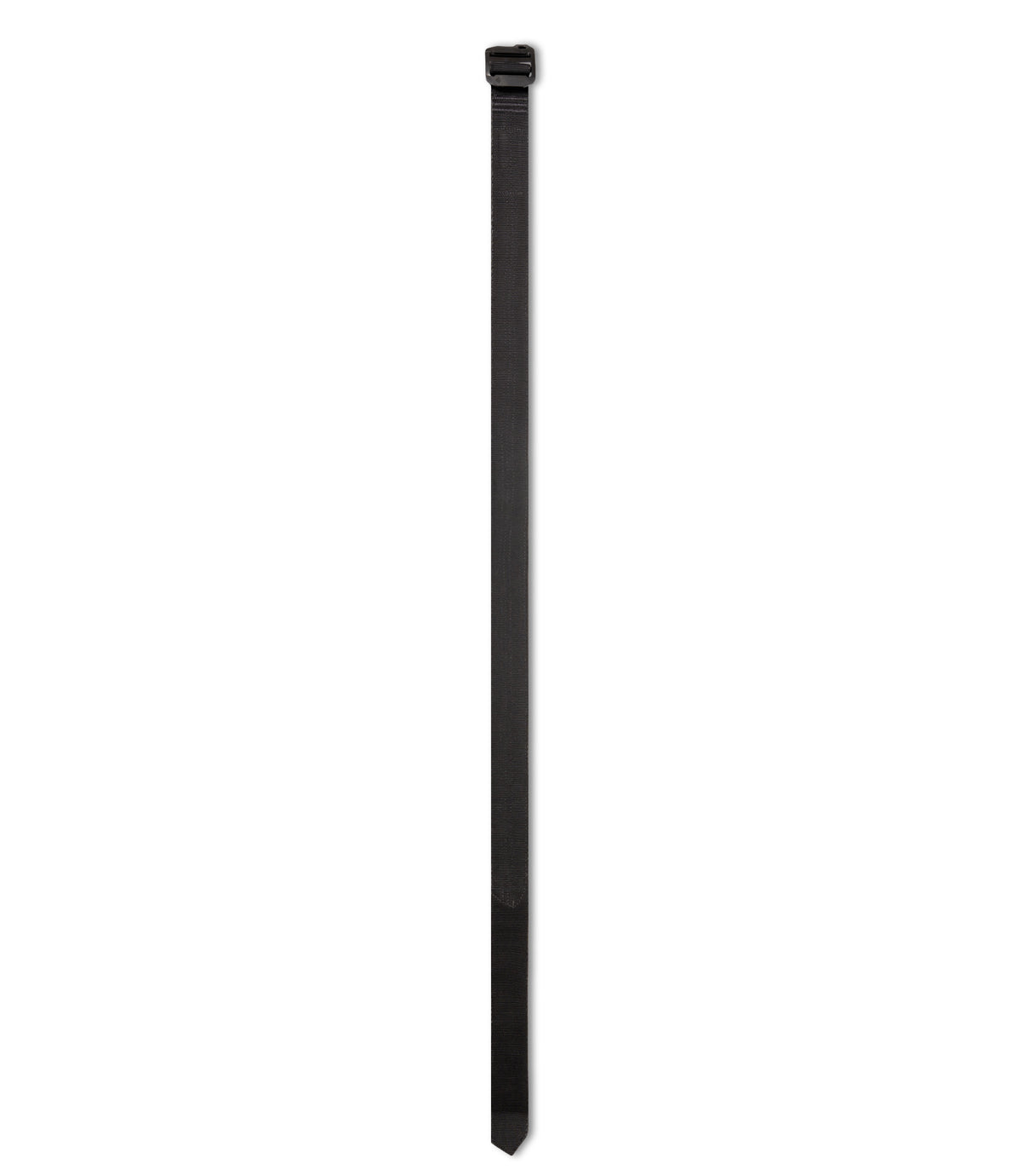 Full straight shape image of black belt with a black plastic buckle, shown vertically against a plain white background |color_black