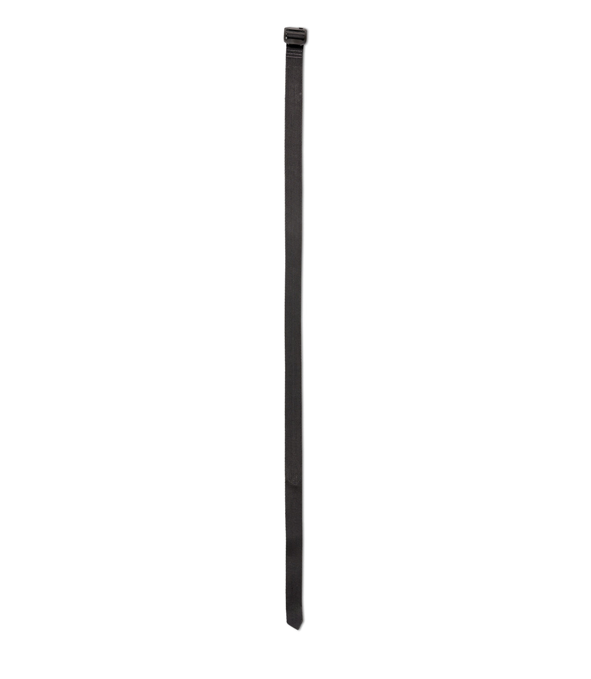 Full straight shape image of black belt with a black plastic buckle, shown vertically against a plain white background |color_black