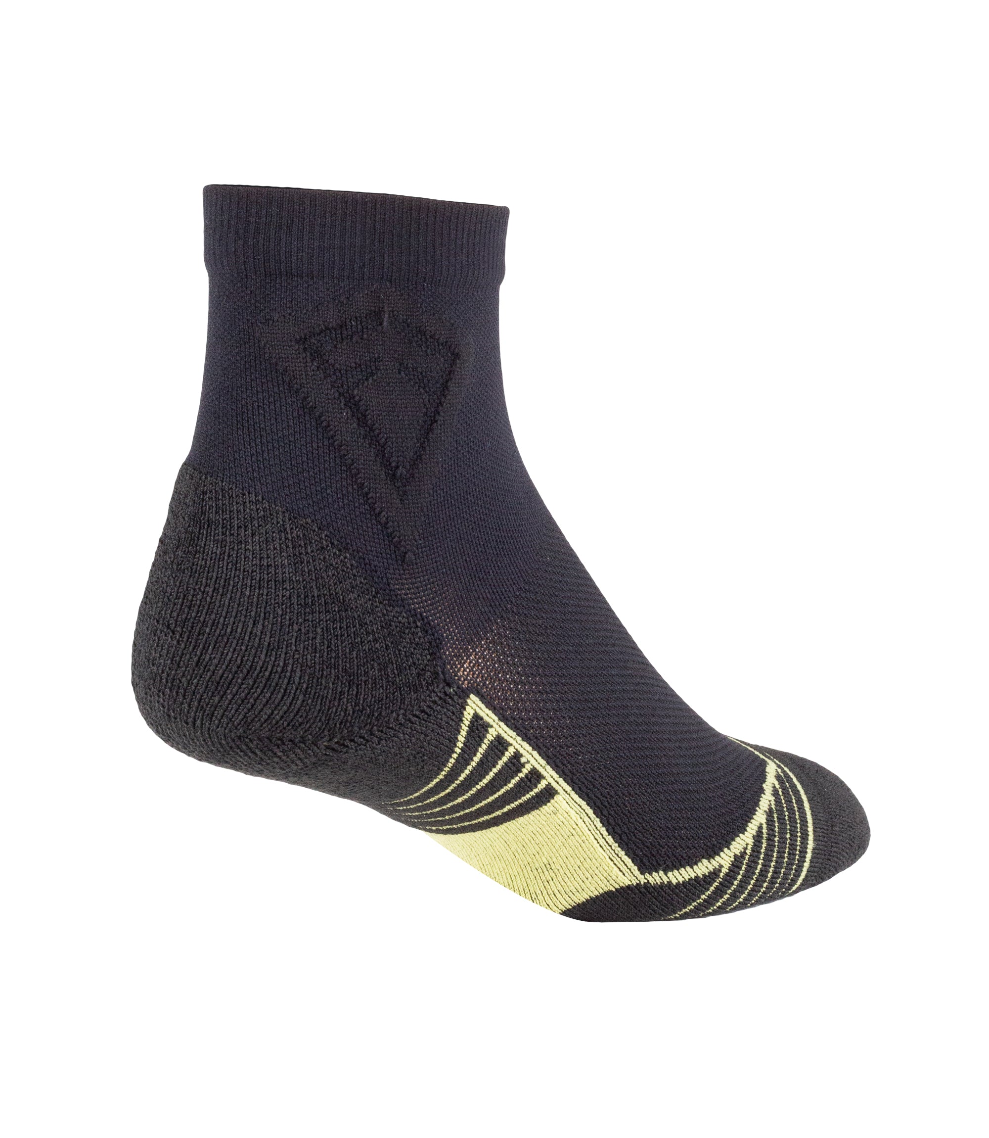 Back of Advanced Fit Low Cut Sock in black|color_black